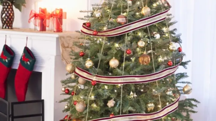 TN50 Christmas Progressive Dinner Party