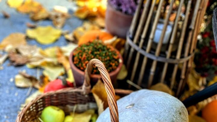 This Week's Class | Friendsgiving Game Night