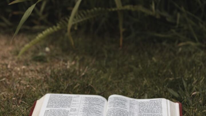 Unshaken Word, Unchanging God