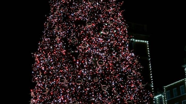 Celebration Market & Christmas Tree Lighting
