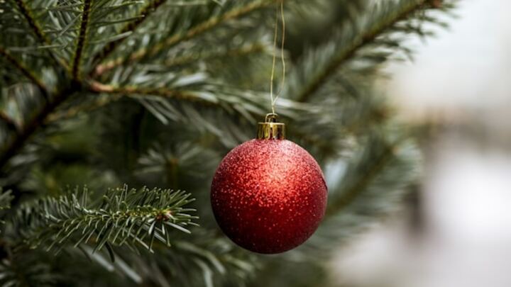 Annual Holiday Party