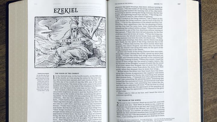 Inductive Study of Ezekiel 15:1–8; 17:1–24