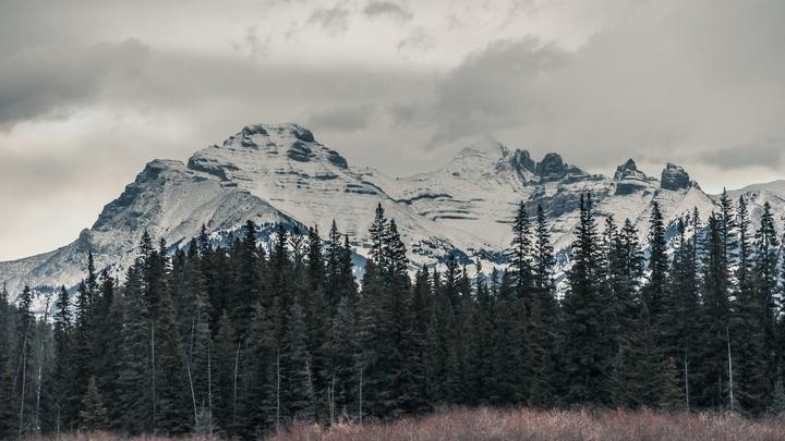 Logo for The Pursuit, Men's Group