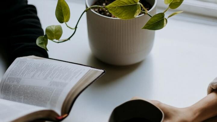 Logo for Women's Morning Bible Study