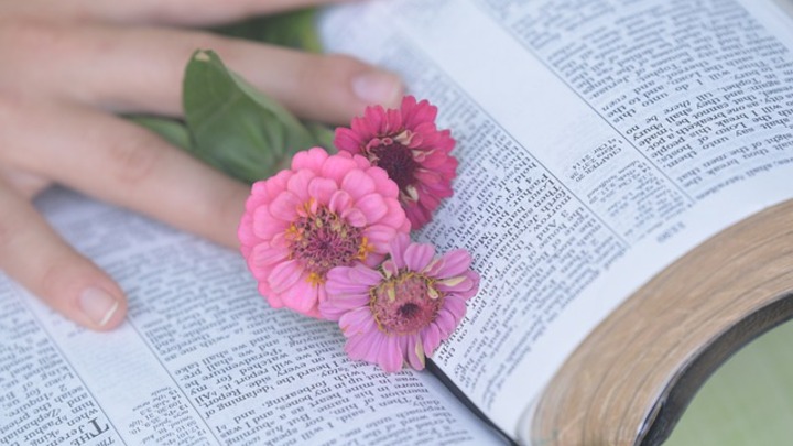 Logo for Pressing Forward with God as Single Women | Women's Group