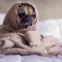 Logo for 0 Nursery Babies