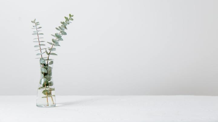 Logo for Pastoral Care and Counseling (PCC)