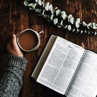 The sWORD (Senior Adult Bible Study)