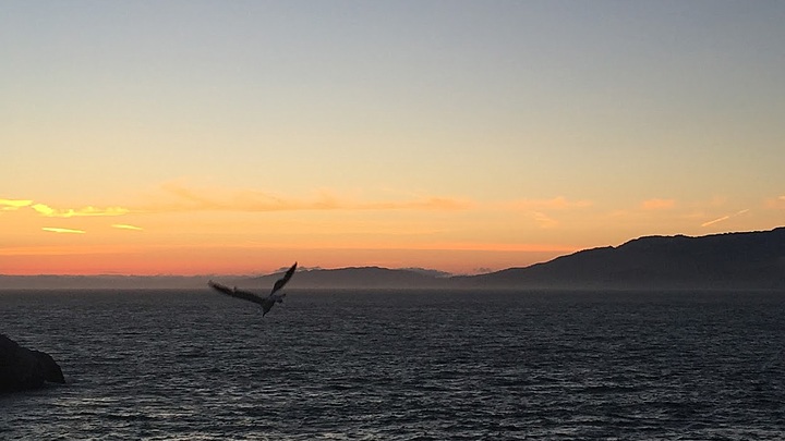 Logo for Kevin Friesen Group