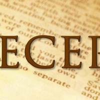 Men's Precept