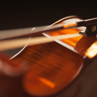 Orchestra