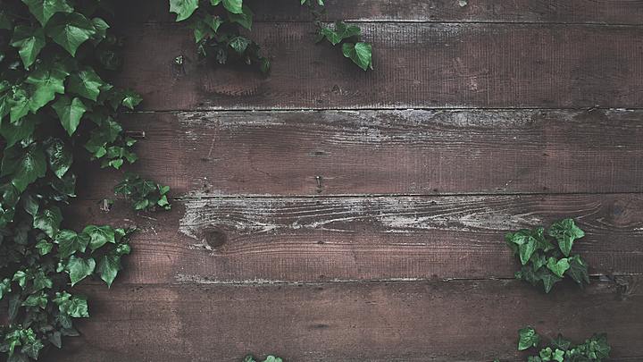 Logo for Onderhoud: tuin aanvegen