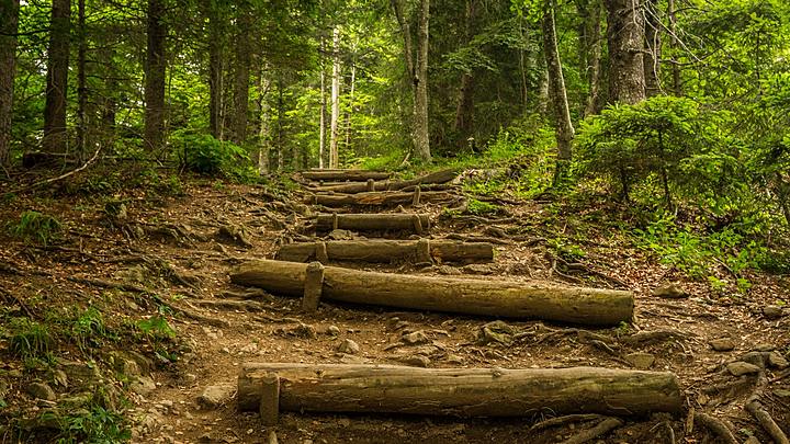 Logo for The Journey (In Person and Online)