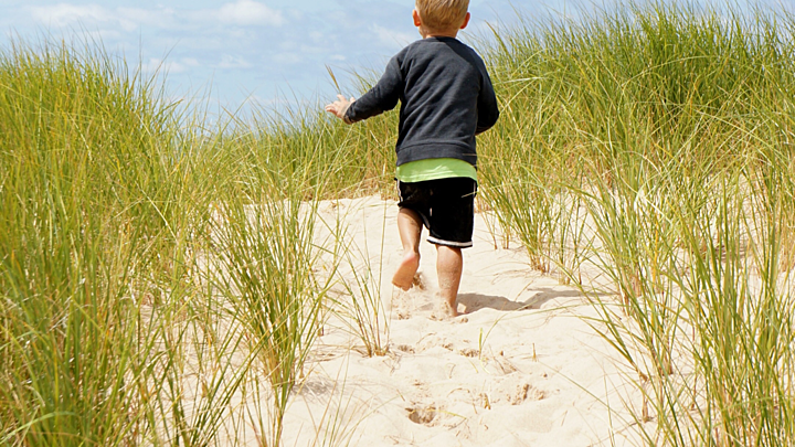 Logo for Holy Curiosity