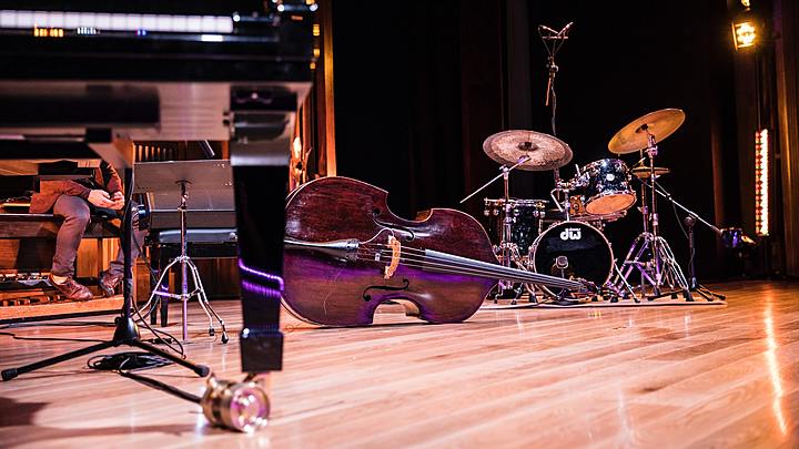 Logo for Instrumentalists