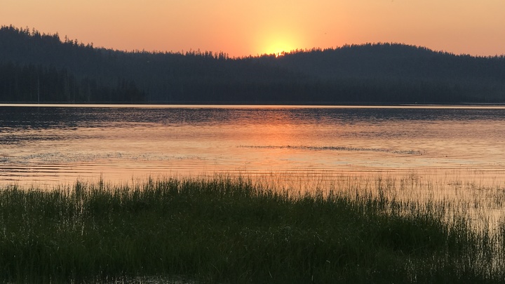 Logo for Macy LIFE Group