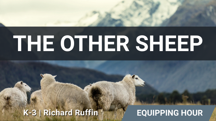Logo for *The Other Sheep