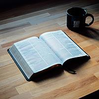 Logo for 365 Day Bible Reading Plan