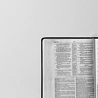 Logo for Dinner & Bible Study (@Messina's)