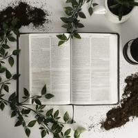 Logo for Bible Believing Sisters-Bible Study Group