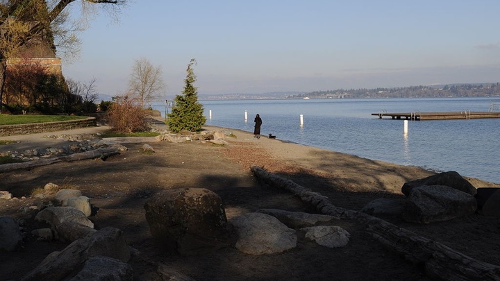 Logo for Madrona: Christie and Herb Hogue & Jon and Megan Phillips