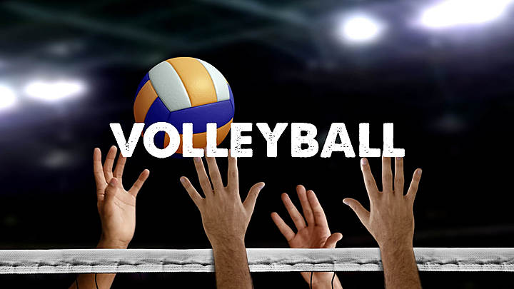 Logo for Volleyball Group