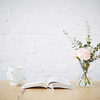 Logo for Women of Grace