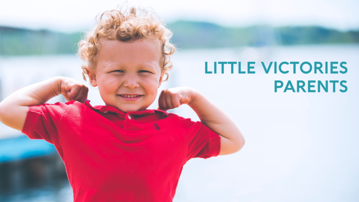Logo for Little Victories Parents