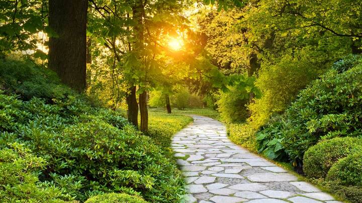 Logo for Pathfinders