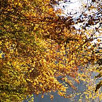 Logo for Emaús Hombres