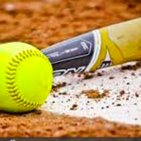 Softball Fans