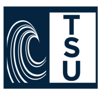 Logo for Tsunami Guys (New Bern)