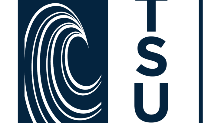 Logo for Tsunami Girls (New Bern)