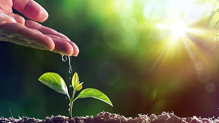 Logo for CSUF Goodsoil Fellowship/ICCCC, CA