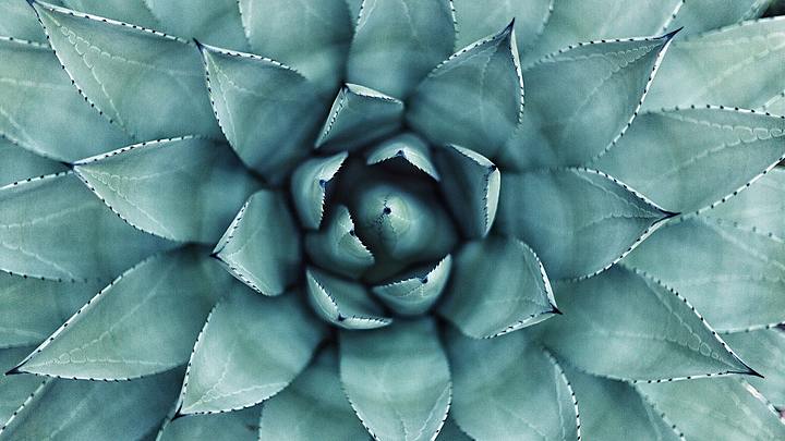 Logo for Tues. AM Bible Study Group