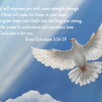 Logo for Dove Notes Ministry