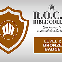 Logo for Level 1:  Bronze