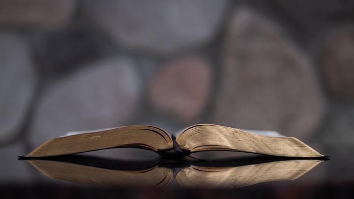 Logo for Adult Bible Study | Sundays | Reach Church