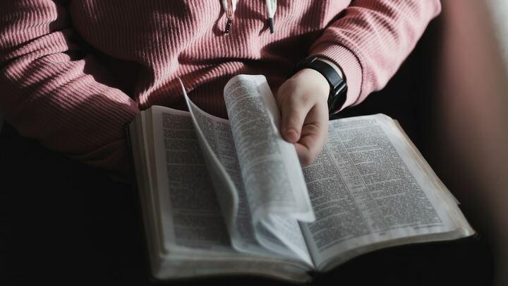 Logo for Heir Born (Multi-Gen)