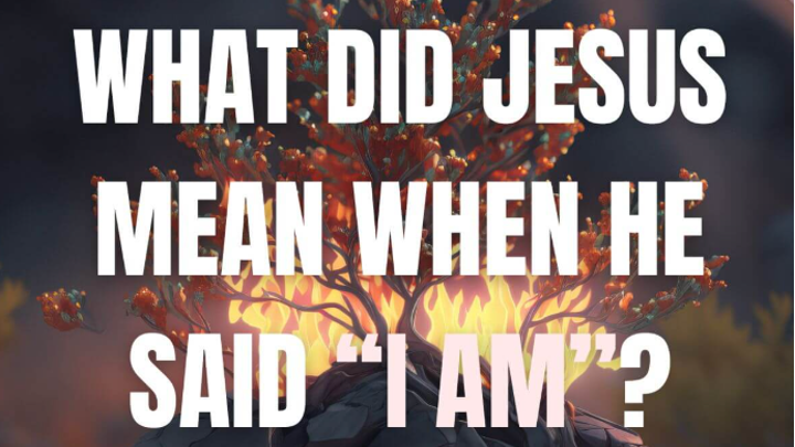 Logo for Delaware Mixed Group