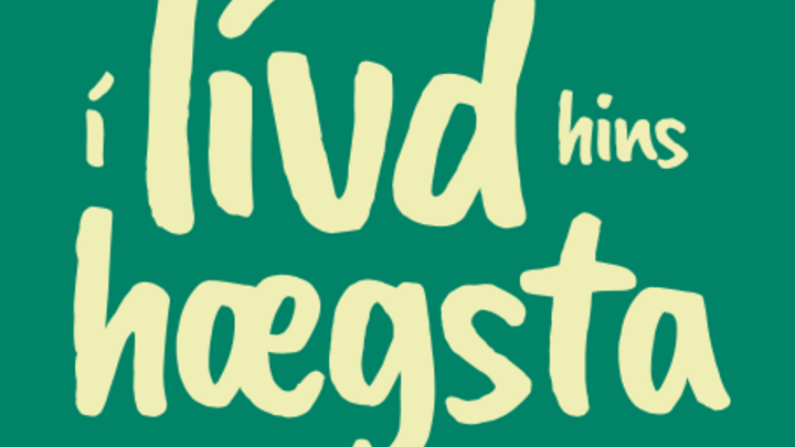 Logo for Dreingir árgang 12/13