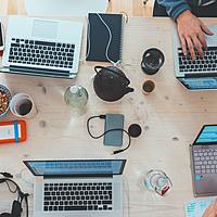 Logo for Young Adult