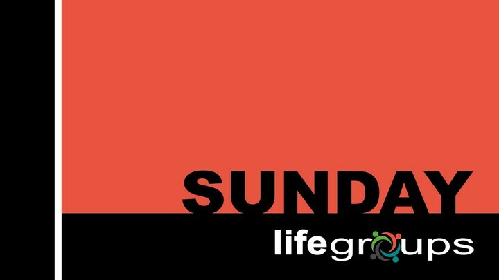 Logo for Open Heart (Griffin)