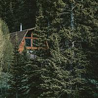 Logo for Men's Leadership Development (EMAW - online) - J. Barlow