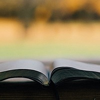 Logo for Ladies Bible Study