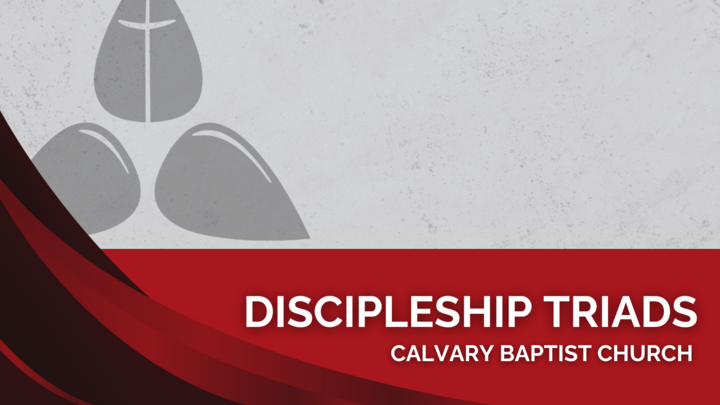 Logo for Women's Discipleship Triads