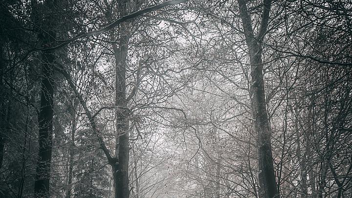 Logo for SS - Men's Class