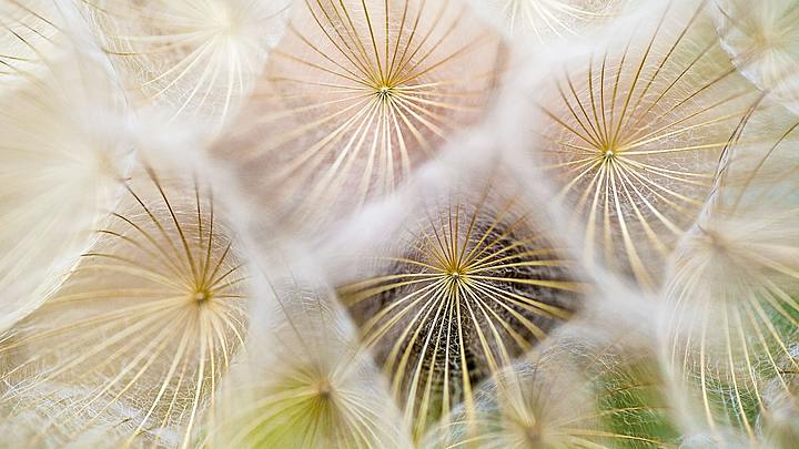 Logo for Connect Team