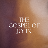 Logo for Afzali - Virtual