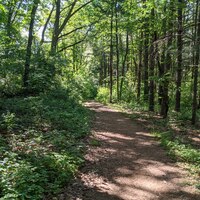 Logo for COG Riders - MTB Meetup